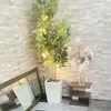 ぶっちゃけ月にいくら稼げるの？のサムネイル