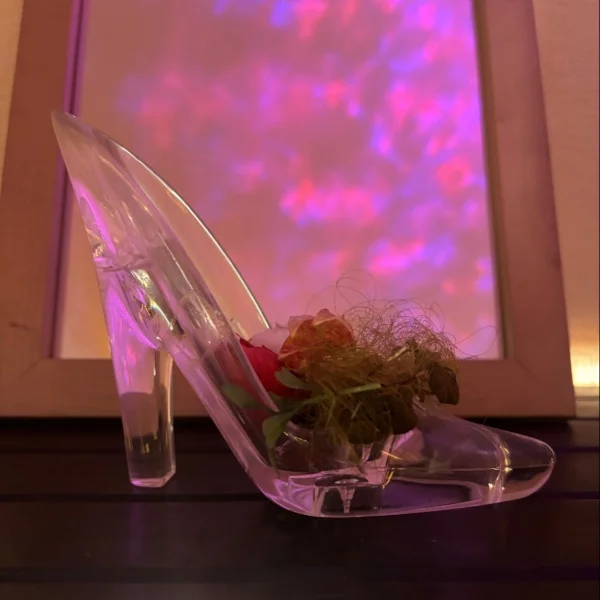 新しく✨️✨