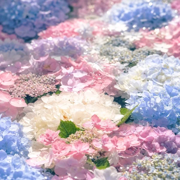 ͛💠最短⏰ 𓈒𓏸15:30分~ご案内可能です🙇♀