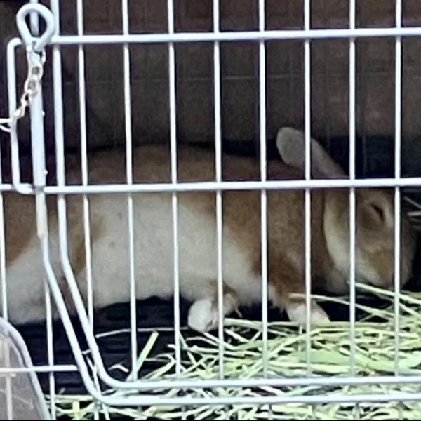 ✨本日もありがとうございました🙇‍♀️