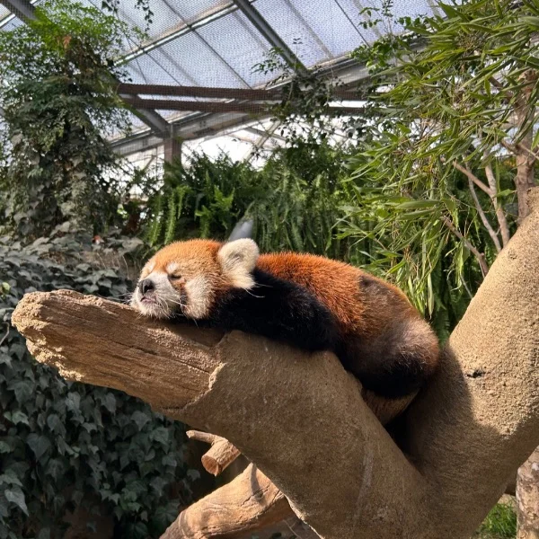 明日は10時から出勤です☺️💕