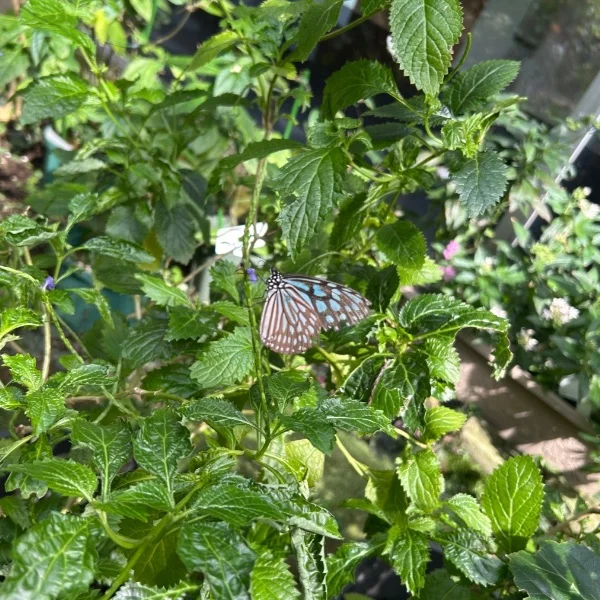 本日もありがとうございました😊
