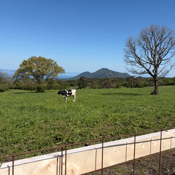 ありがとう(^^)