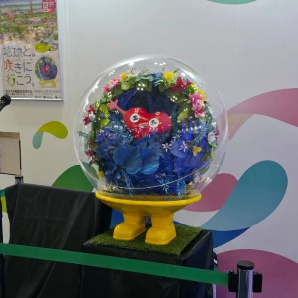 近況です✌️