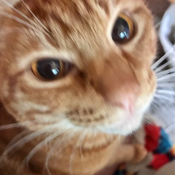 出勤します♡