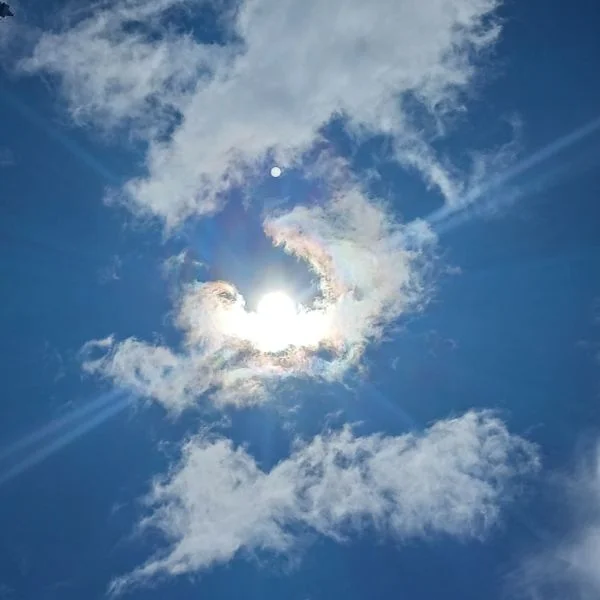 彩雲見れた
