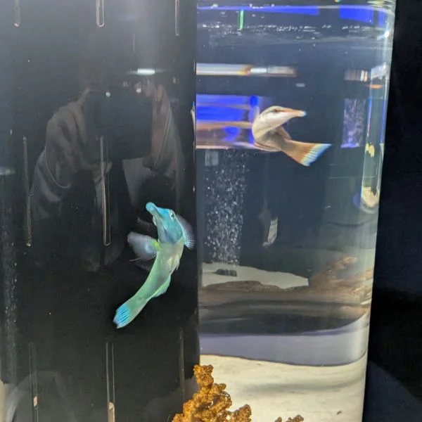 昨日の水族館写メ見てたら...