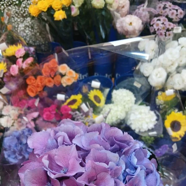 紫陽花のおまじない