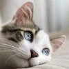【完全日払い＆時給保証】毎日がお給料日★日給4万円～可能！のサムネイル
