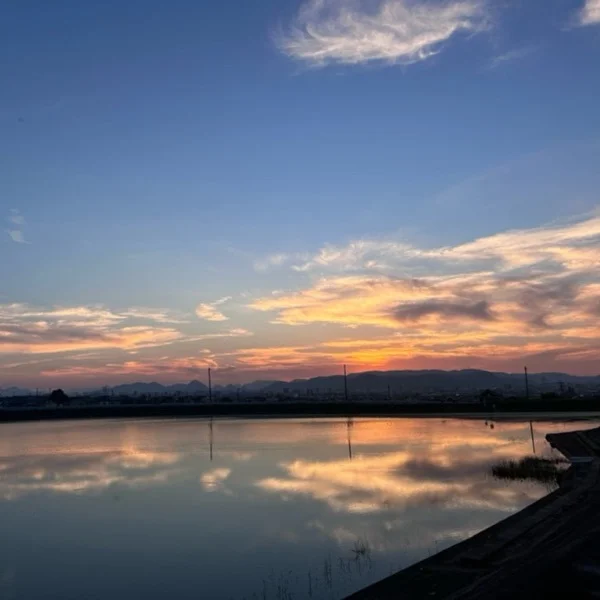 美咲＊°