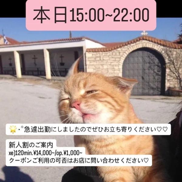 本日15:00~22:00‎‎𖤐 ̖́-‬