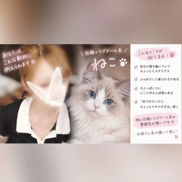 ちなみに