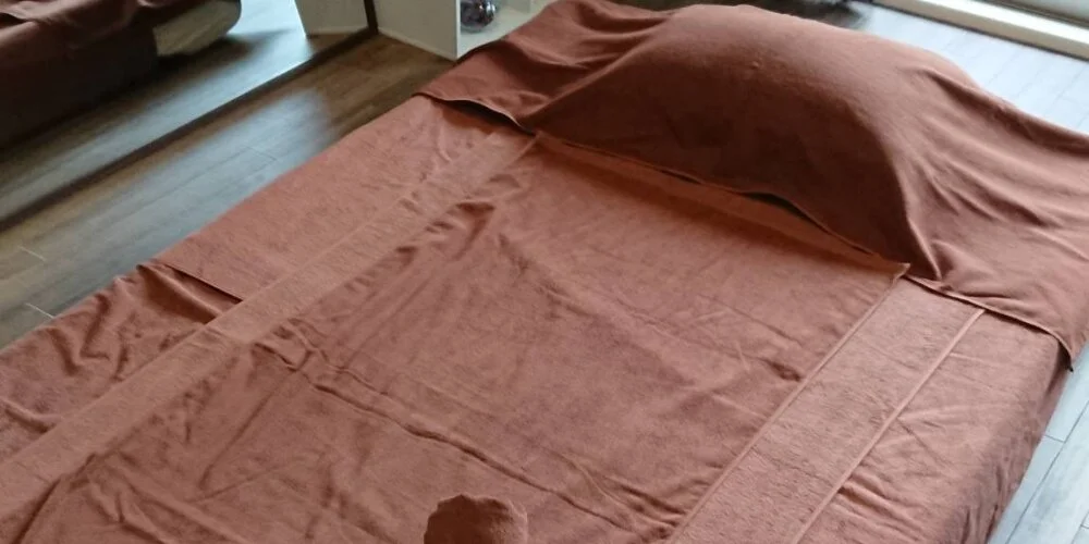 シークレットルームヒマワリの施術室写真