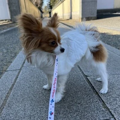 嵐の前兆 アルファ スパの店長ブログ エスタマ求人