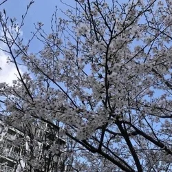 ありがとうございました♡