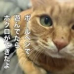 採用担当のカフェオレさん