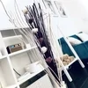 桜川エリアのサムネイル
