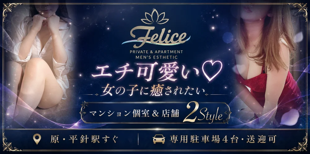 店舗/マンション個室複合店　Felice（ﾌｪﾘｰﾁｪ)のカバー画像