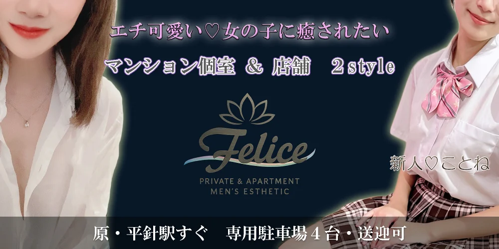 店舗/マンション個室複合店　Felice（ﾌｪﾘｰﾁｪ)のカバー画像