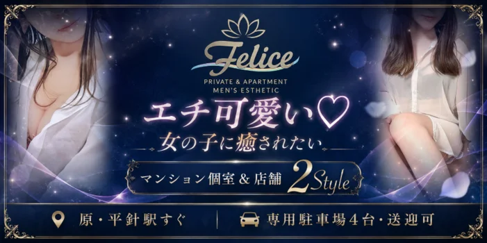 店舗/マンション個室複合店　Felice（ﾌｪﾘｰﾁｪ)