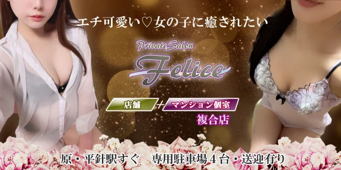 店舗/マンション個室複合店　Felice（ﾌｪﾘｰﾁｪ)
