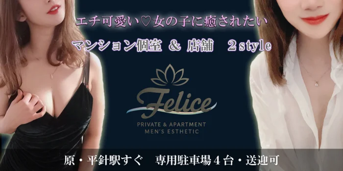 店舗/マンション個室複合店　Felice（ﾌｪﾘｰﾁｪ)