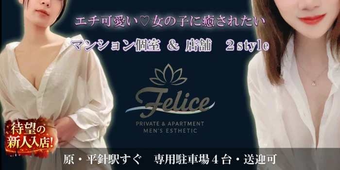 店舗/マンション個室複合店　Felice（ﾌｪﾘｰﾁｪ)