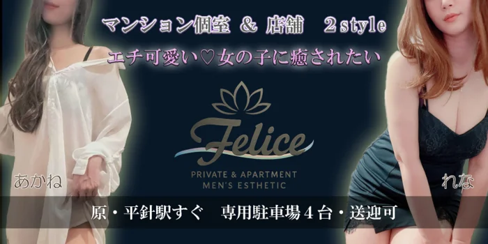店舗/マンション個室複合店　Felice（ﾌｪﾘｰﾁｪ)