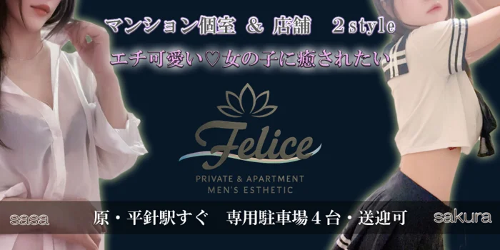 店舗/マンション個室複合店　Felice（ﾌｪﾘｰﾁｪ)