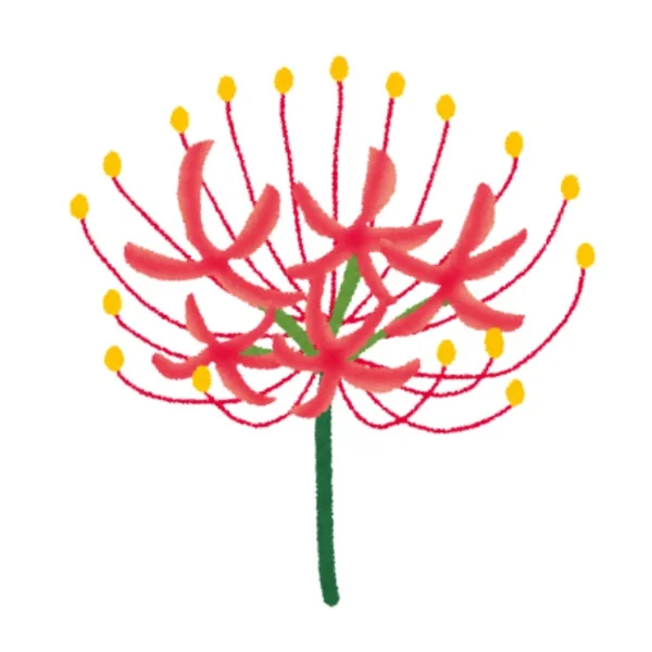 彼岸花