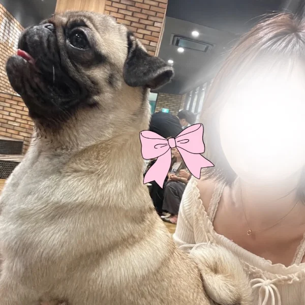 おはよん