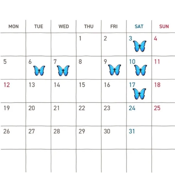 10月前半予定( ˙꒳˙ᐢ )