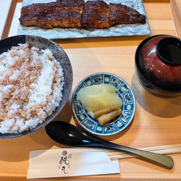 浜松行って鰻食べてきた( ˙꒳˙ )v