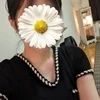 白崎(しらさき)