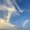 ☁️久しぶりに飛行機雲見ました^_^☁️のサムネイル