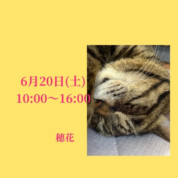 直近の出勤予定