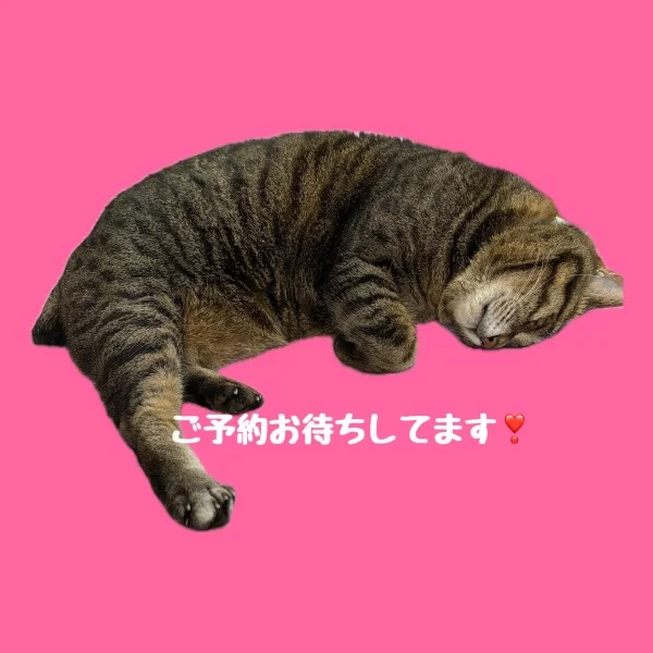本日10時から出勤します！