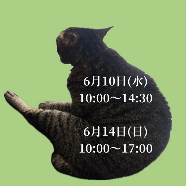 来週のシフト
