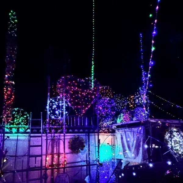 ウサギデハ