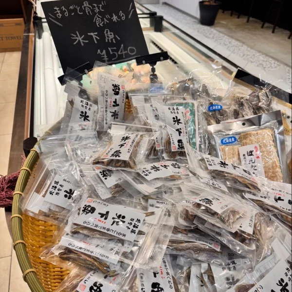 お待ちかねの新人さんですよ🥰🎶