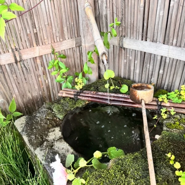 エモいんですって