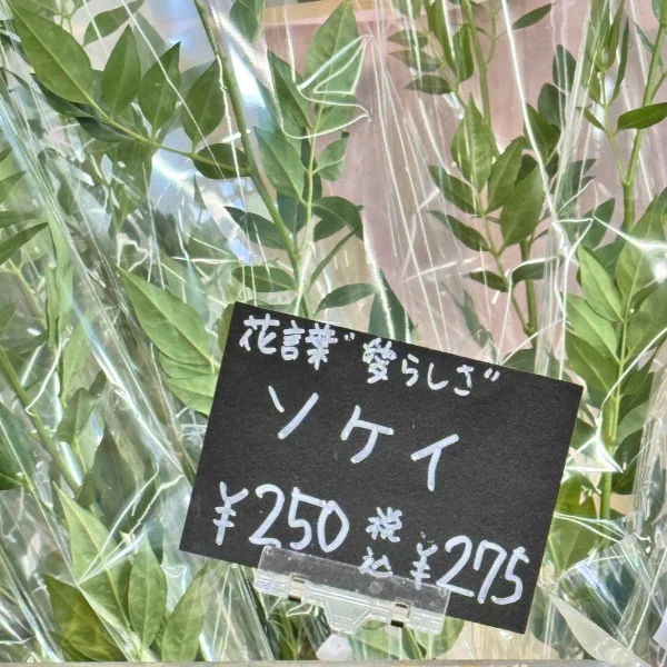 コレハ・・・！！