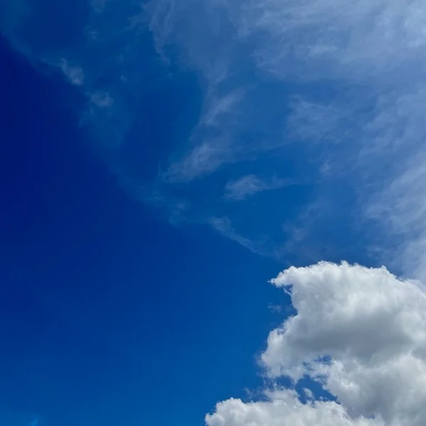 9月5日🌞💛