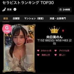 🩷🌻🩵向日葵のん🩵🌻🩷