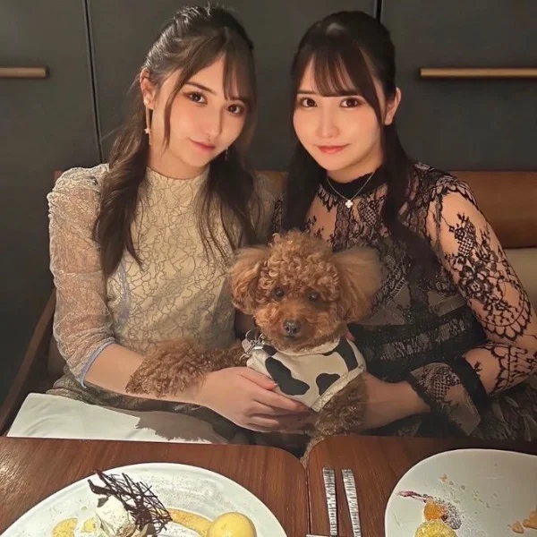 🩷🌻🩵向日葵らん🩵🌻🩷