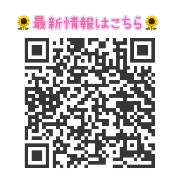 🌻向日葵のん🌻