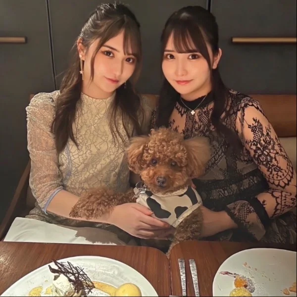 🌻向日葵のん🌻