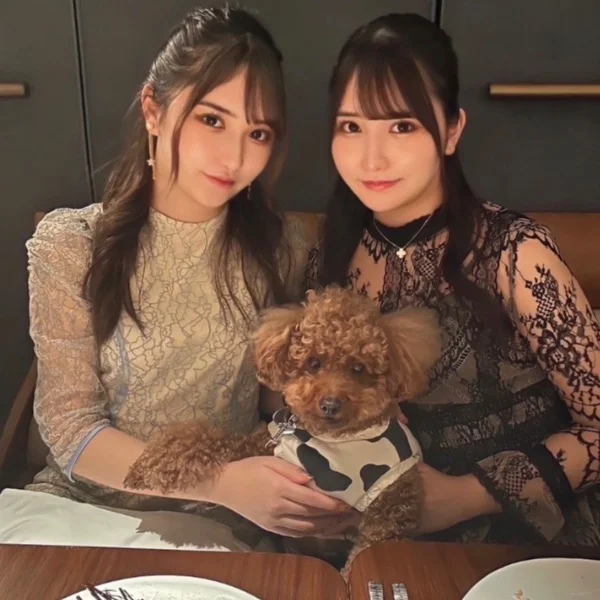 🌻向日葵のん🌻