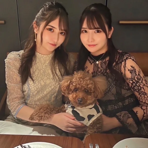 🌻向日葵のん🌻