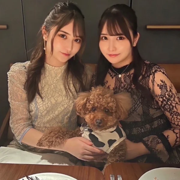 🌻向日葵のん🌻